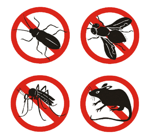 Picture for category Mosquito, Insect Repellents & Rat Killer