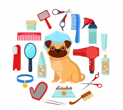 Picture for category Pet Care Products & Accessories
