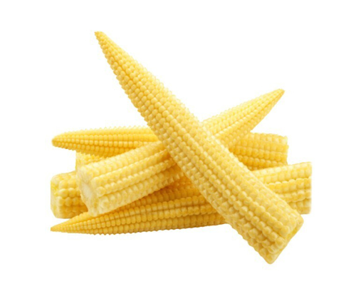 Picture of BABY CORN (10'PCS)-PKT